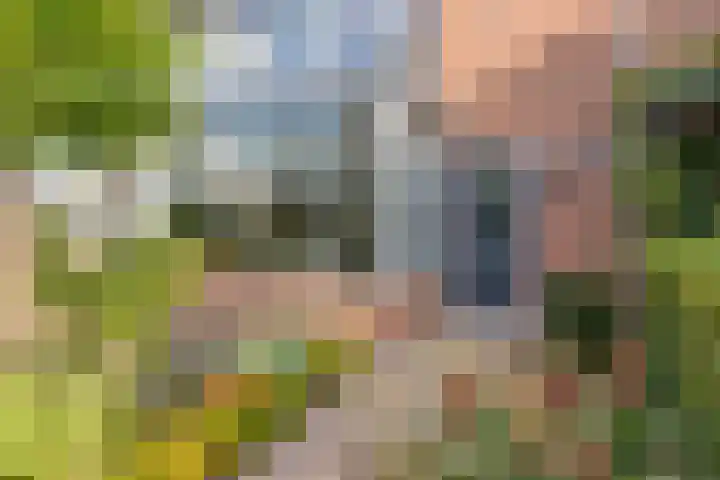 Nibbelinkstraat 3 Hendrik-Ido-Ambacht thumbnail 33
