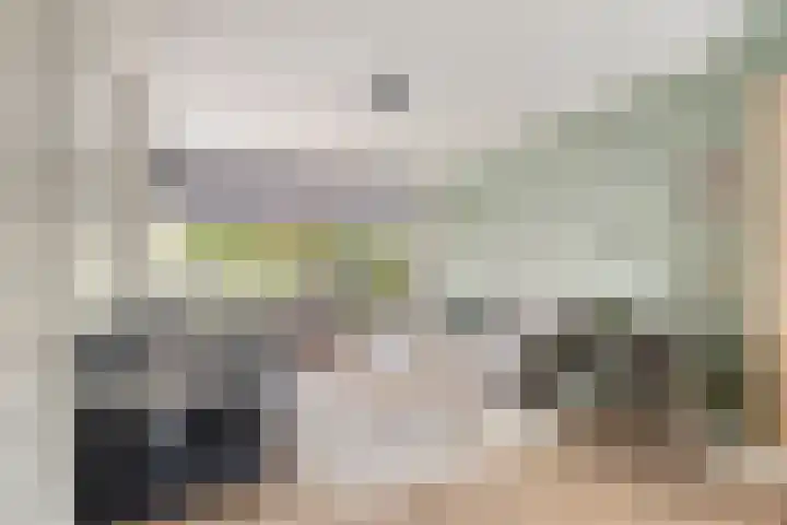 Nibbelinkstraat 3 Hendrik-Ido-Ambacht thumbnail 5