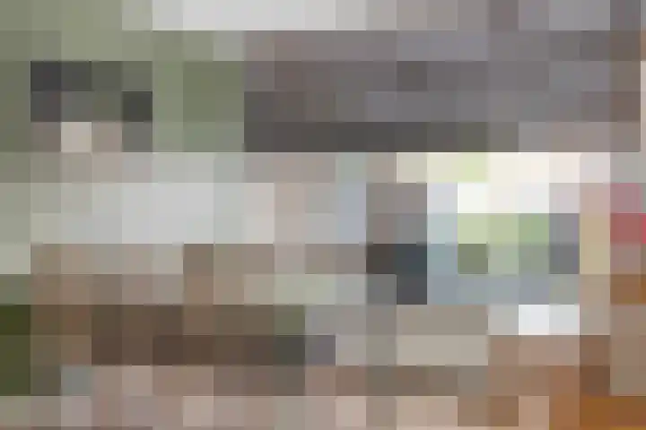 Nibbelinkstraat 3 Hendrik-Ido-Ambacht thumbnail 7