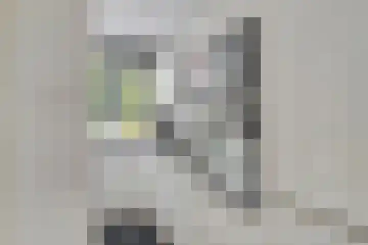 Nibelungenhof 12 Hoogvliet Rotterdam thumbnail 13