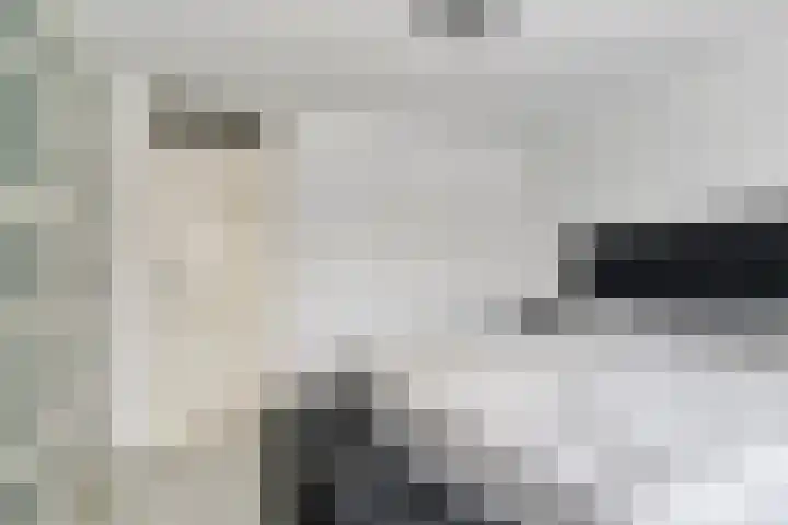 Nibelungenhof 12 Hoogvliet Rotterdam thumbnail 18