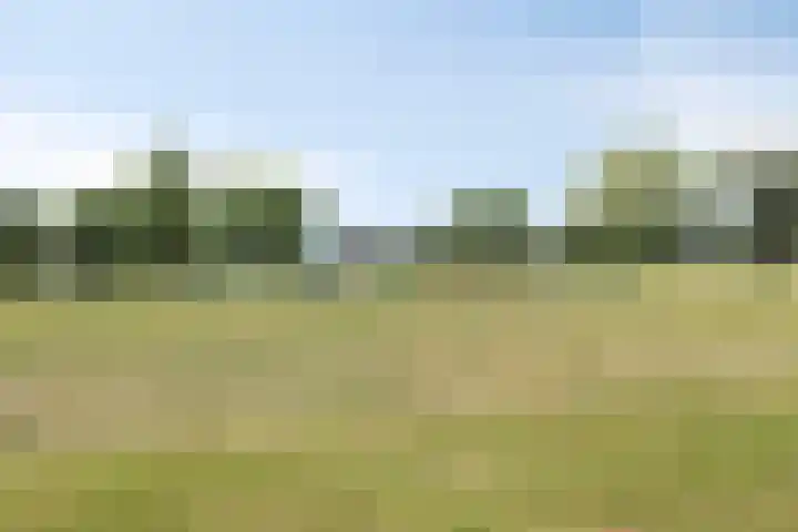 Nibelungenhof 12 Hoogvliet Rotterdam thumbnail 31