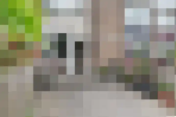 Nibelungenhof 12 Hoogvliet Rotterdam thumbnail 6