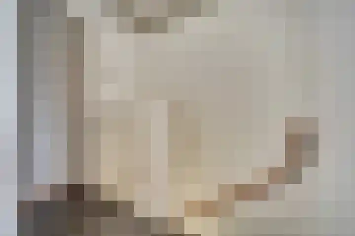 Nibelungenhof 6 Hoogvliet Rotterdam thumbnail 10