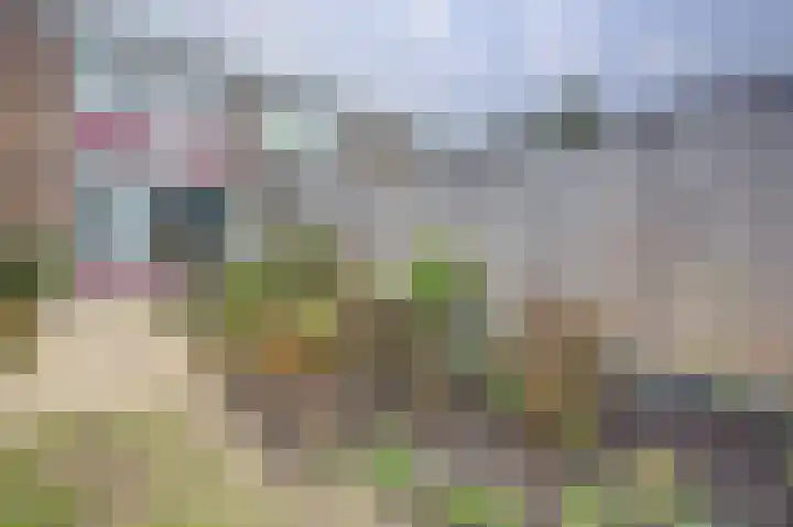 Nibelungenhof 6 Hoogvliet Rotterdam thumbnail 20
