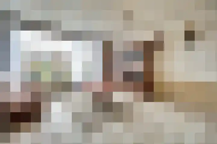 Nibelungenhof 6 Hoogvliet Rotterdam thumbnail 4