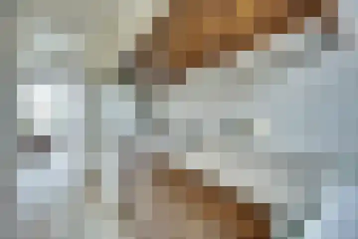 Nibelungenhof 6 Hoogvliet Rotterdam thumbnail 5