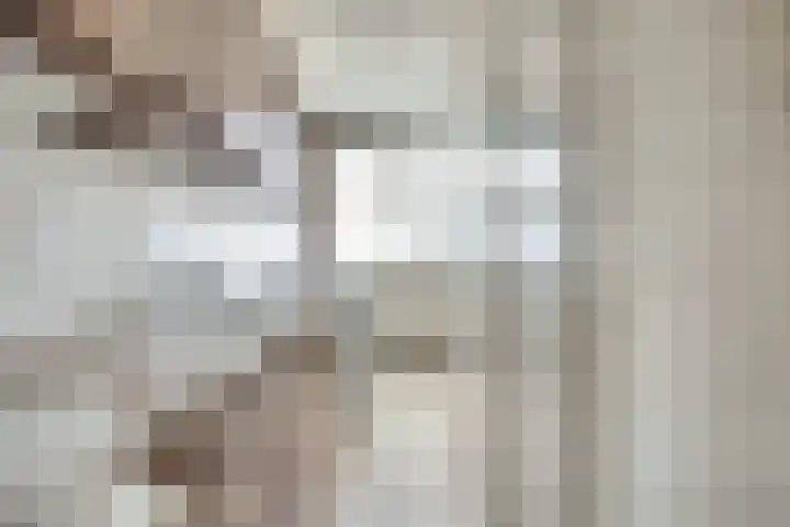 Nibelungenhof 6 Hoogvliet Rotterdam thumbnail 6