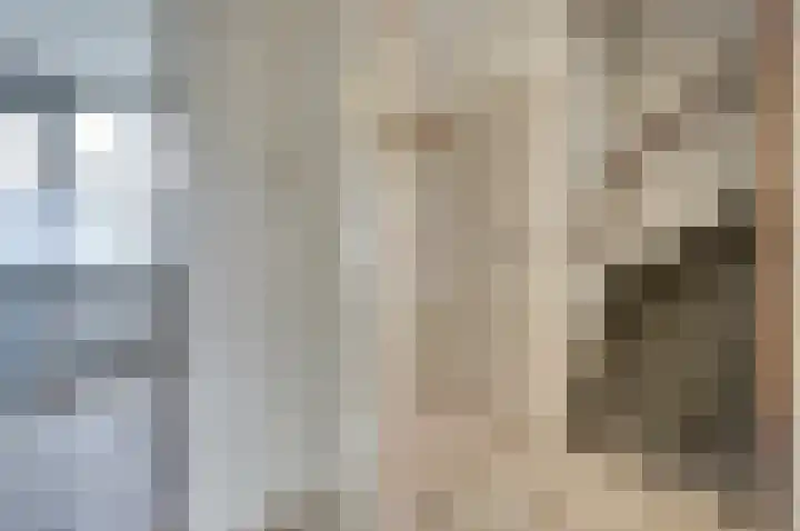 Nibelungenhof 6 Hoogvliet Rotterdam thumbnail 7
