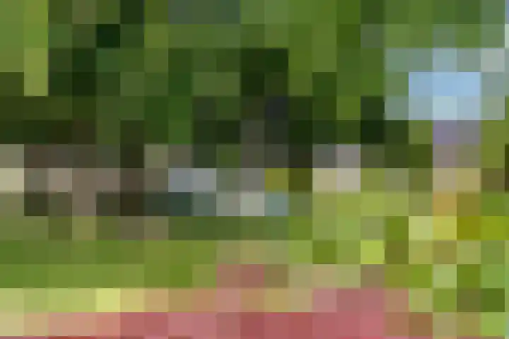 Nibelungenpad 1 Amersfoort thumbnail 31