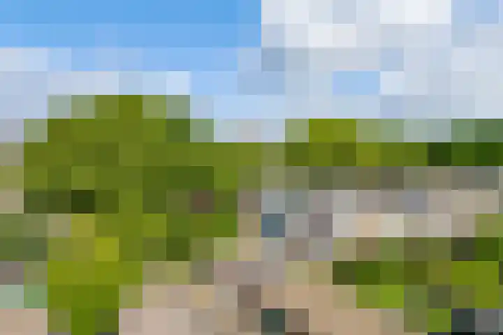 Nibelungenpad 1 Amersfoort thumbnail 32