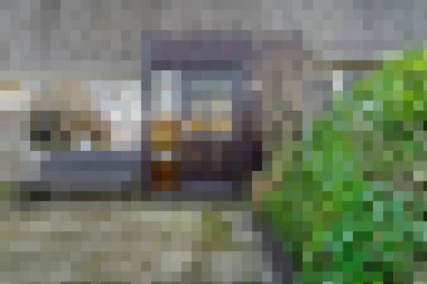 Nibelungenpad 9 Amersfoort thumbnail 27