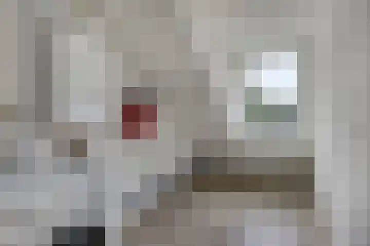 Nic Beetsstraat 18 Lichtenvoorde thumbnail 31
