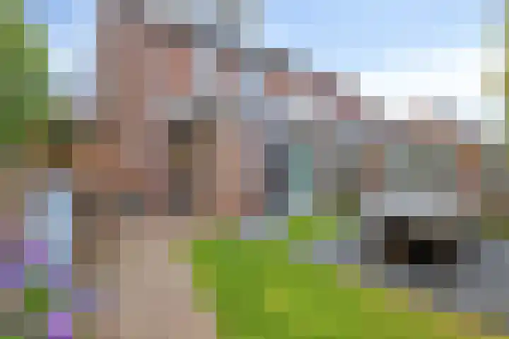 Nic Beetsstraat 18 Lichtenvoorde thumbnail 36