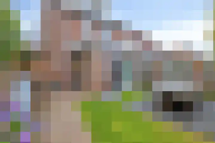 Nic Beetsstraat 18 Lichtenvoorde thumbnail 4