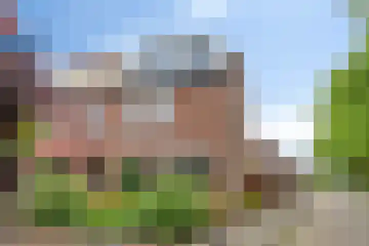 Nic Beetsstraat 18 Lichtenvoorde thumbnail 7