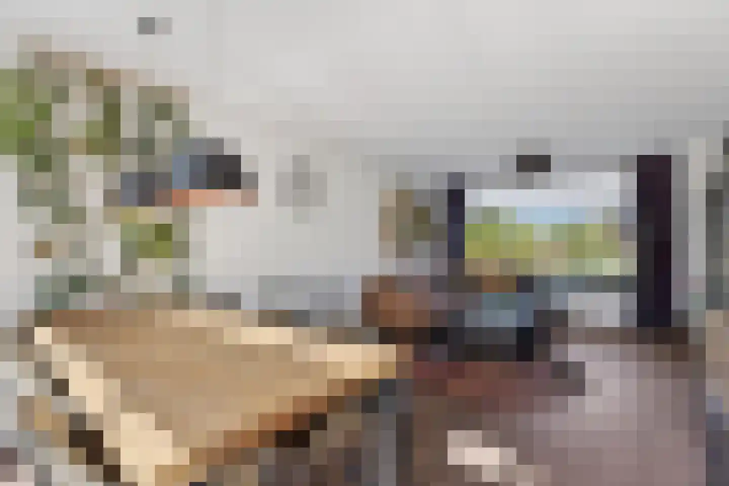 Nic. Beetsstraat 58 Heerhugowaard thumbnail 10