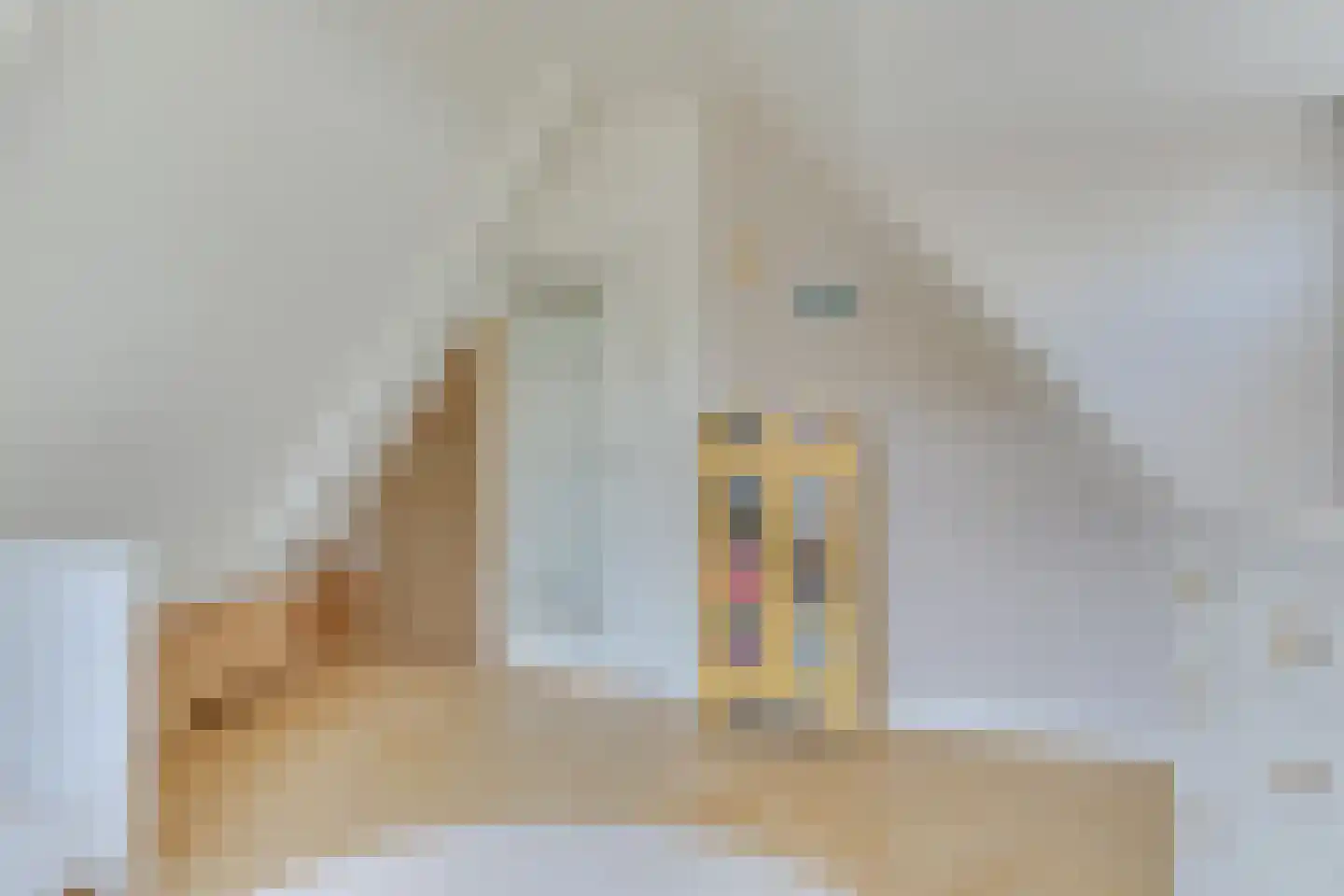Nic Beetsweg 25 Heiloo thumbnail 38