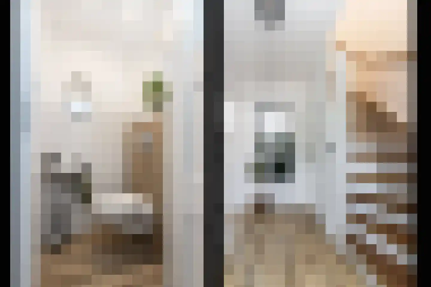 Nichtenhofstraat 19 Nieuwaal thumbnail 15