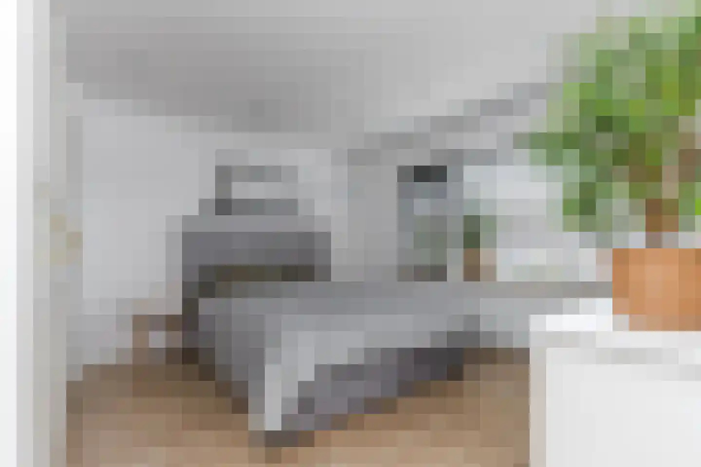 Nichtenhofstraat 19 Nieuwaal thumbnail 19