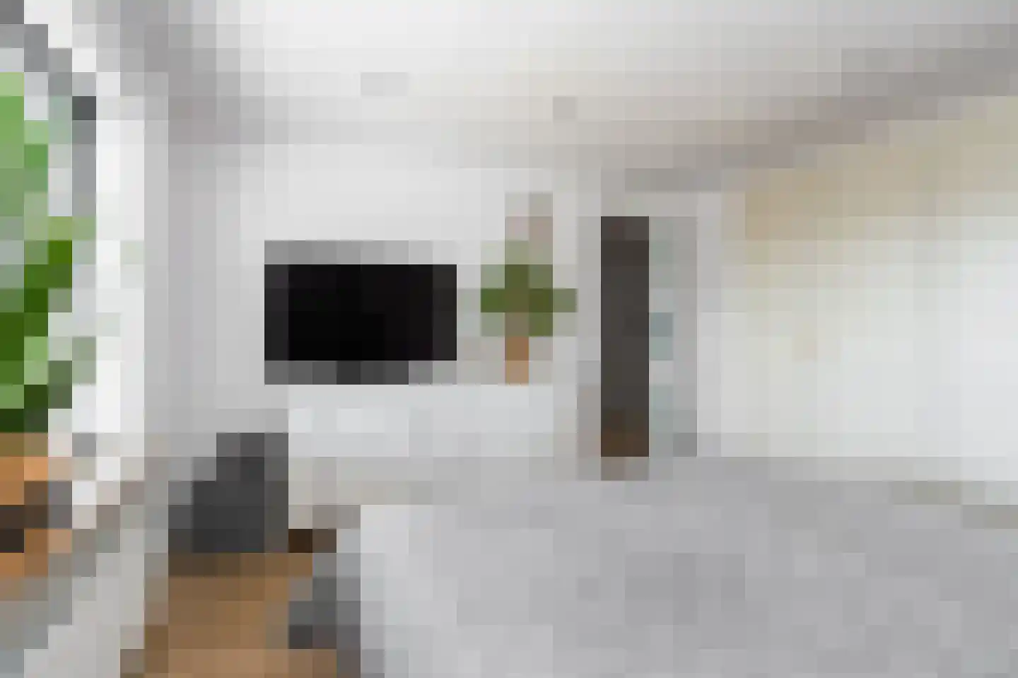 Nichtenhofstraat 19 Nieuwaal thumbnail 20