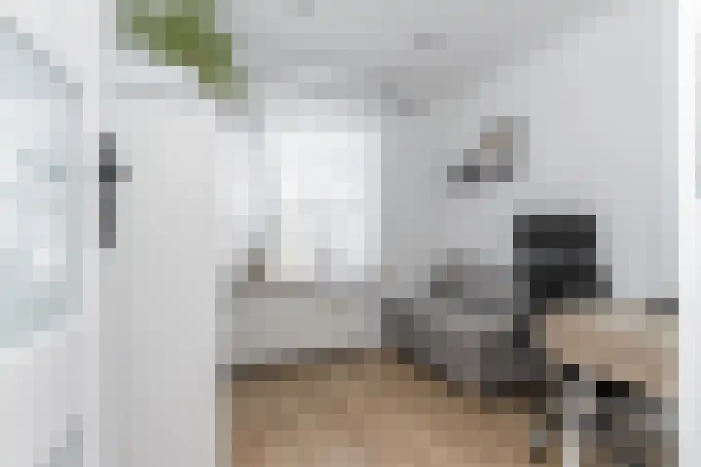 Nichtenhofstraat 19 Nieuwaal thumbnail 24