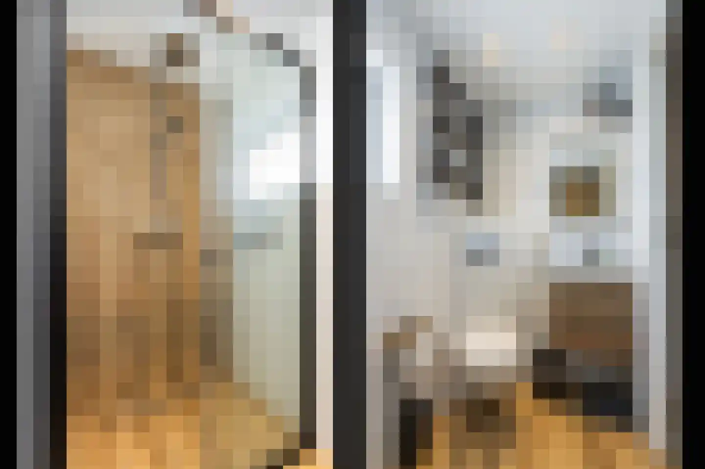 Nichtenhofstraat 19 Nieuwaal thumbnail 27