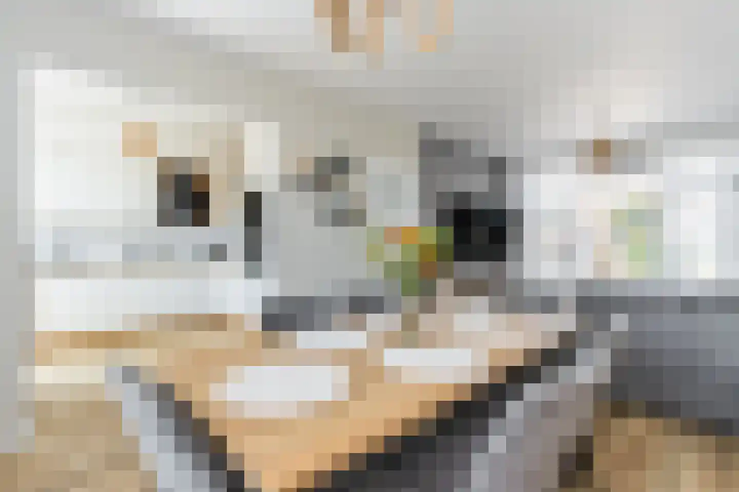 Nichtenhofstraat 19 Nieuwaal thumbnail 8