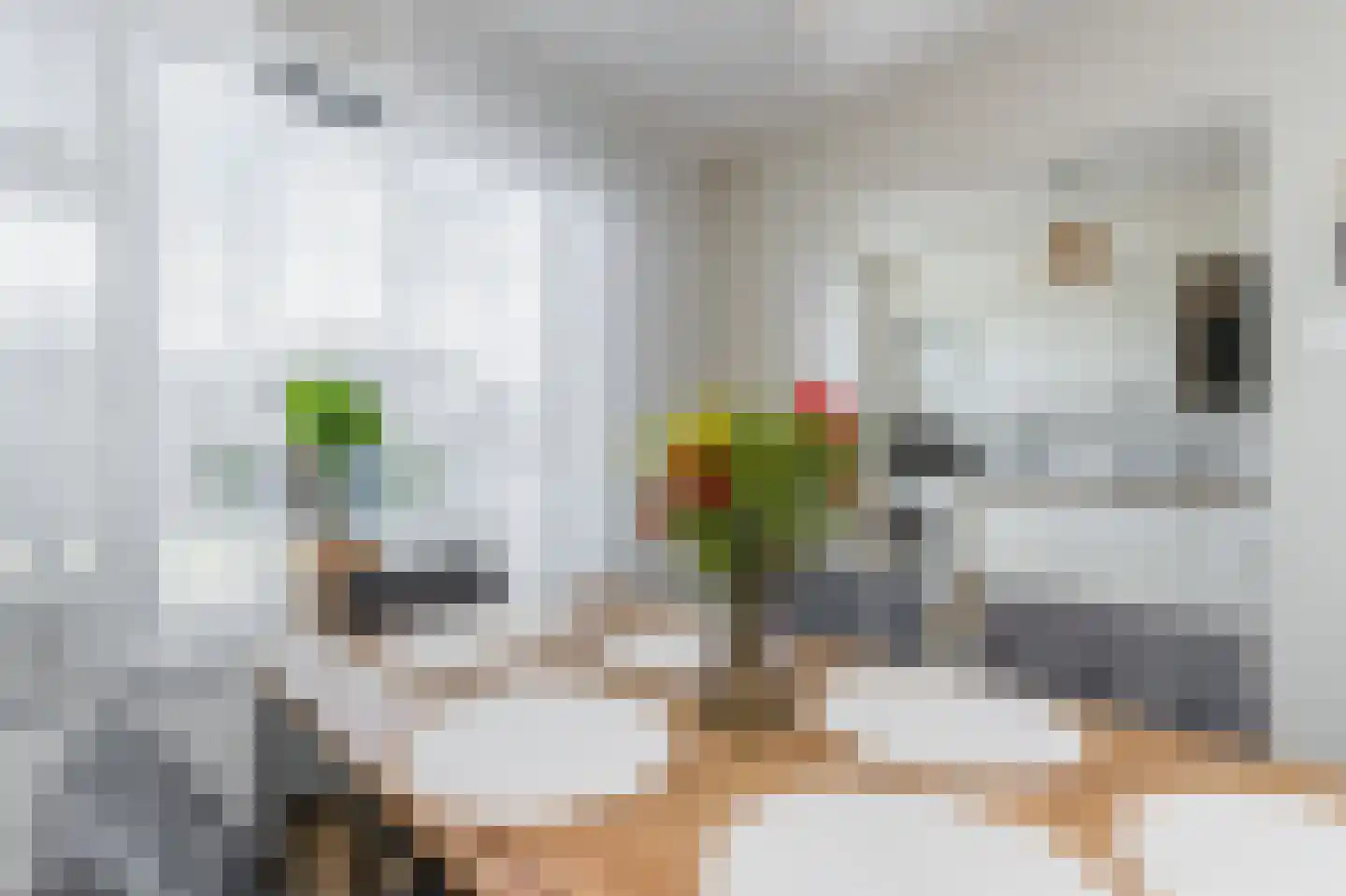 Nichtenhofstraat 19 Nieuwaal thumbnail 9