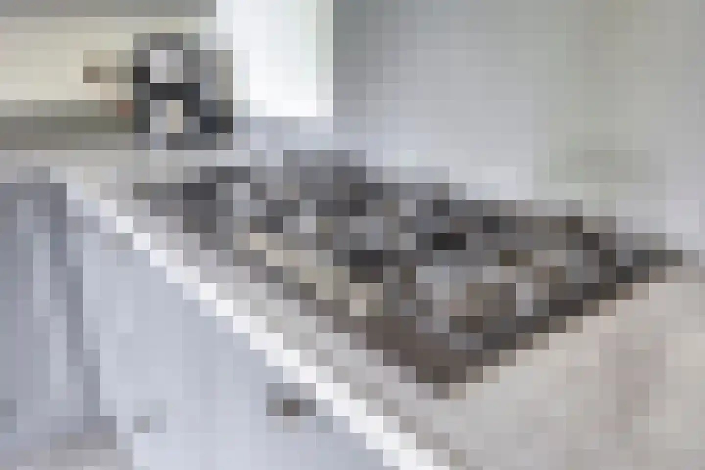 Nichtenhofstraat 33 Nieuwaal thumbnail 15