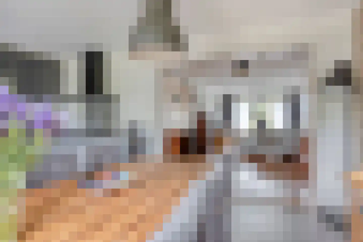 Nichtenhofstraat 33 Nieuwaal thumbnail 16