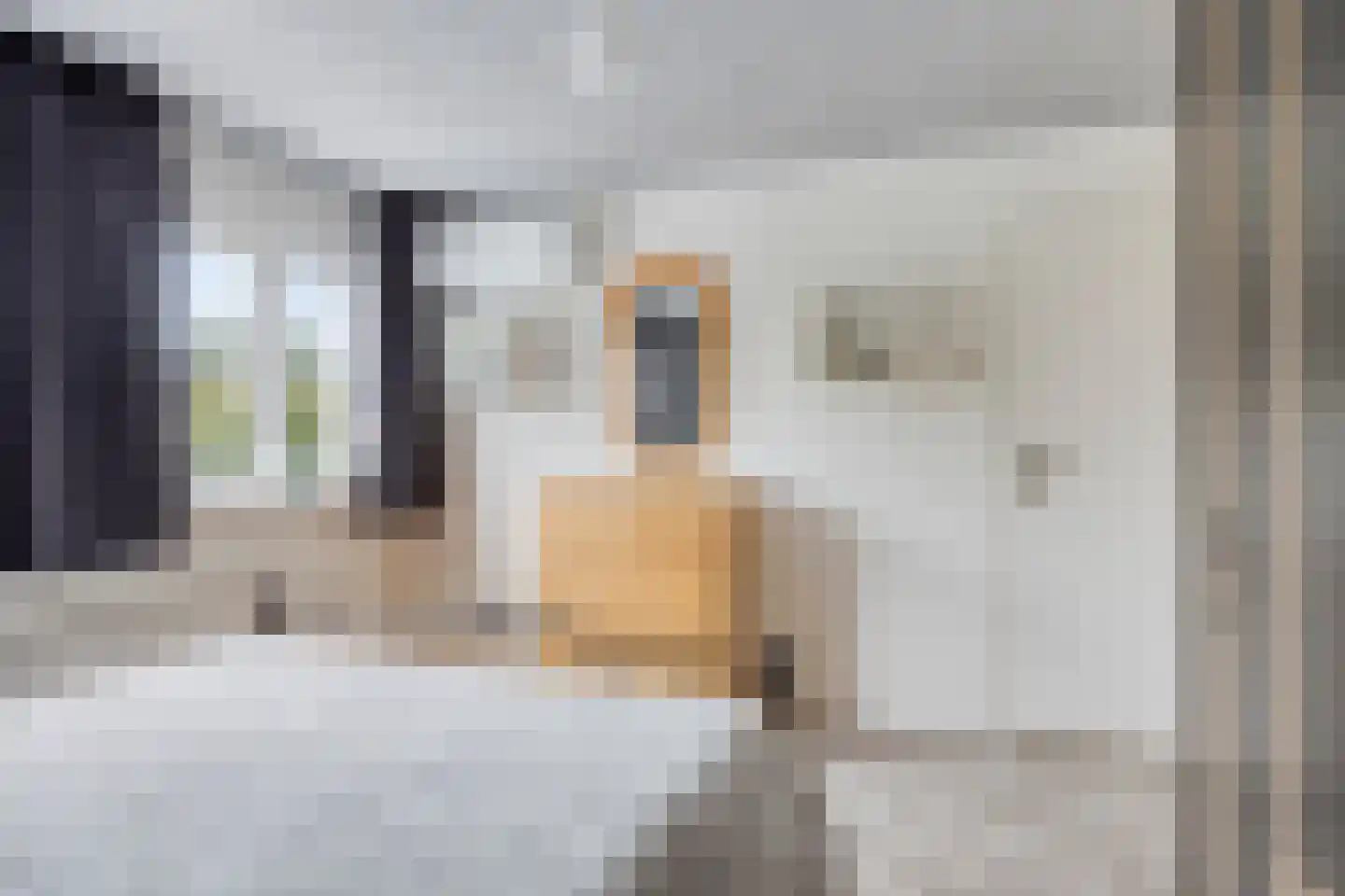 Nichtenhofstraat 33 Nieuwaal thumbnail 19