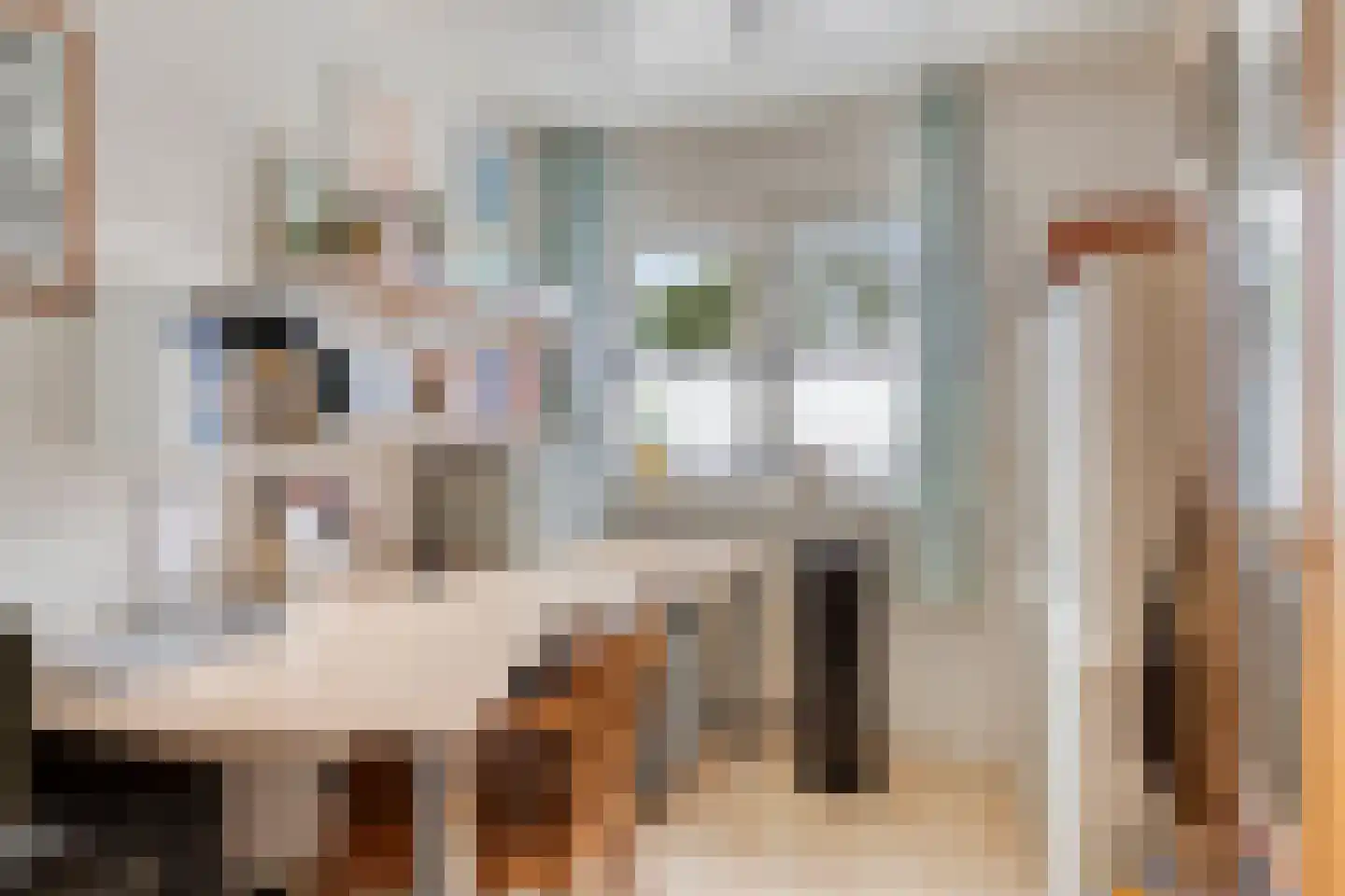 Nichtenhofstraat 33 Nieuwaal thumbnail 22