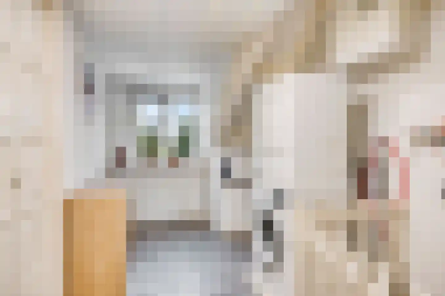 Nichtenhofstraat 33 Nieuwaal thumbnail 26