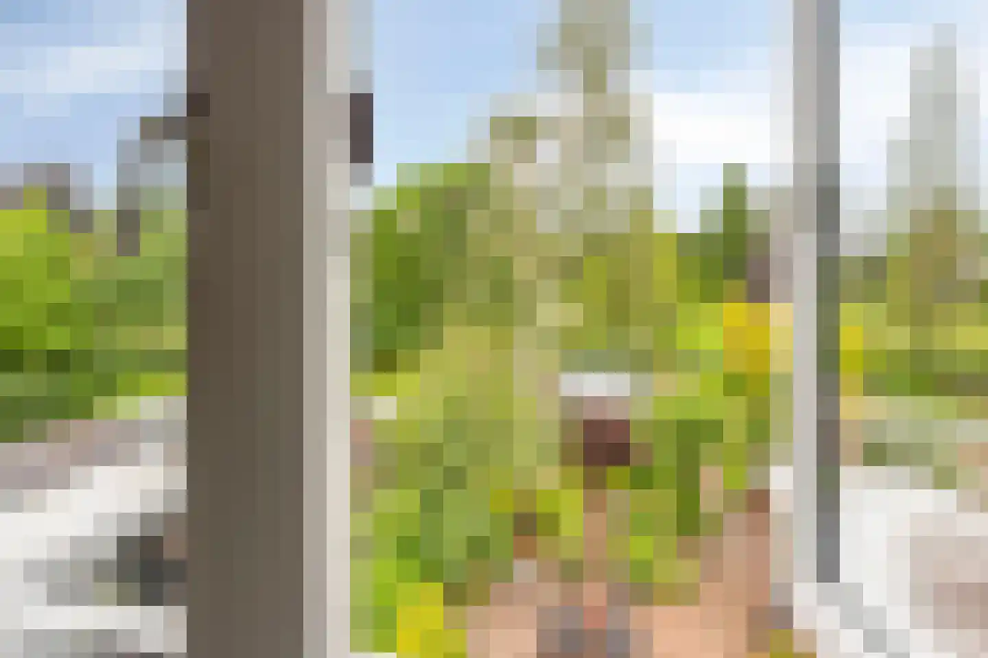 Nichtenhofstraat 33 Nieuwaal thumbnail 29