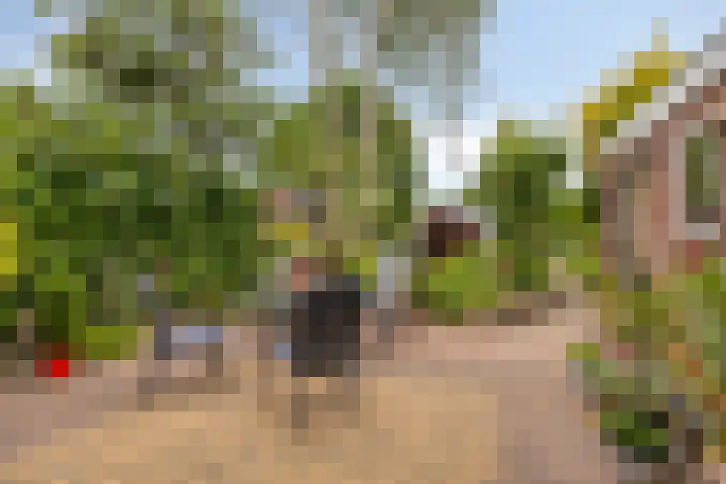 Nichtenhofstraat 33 Nieuwaal thumbnail 30