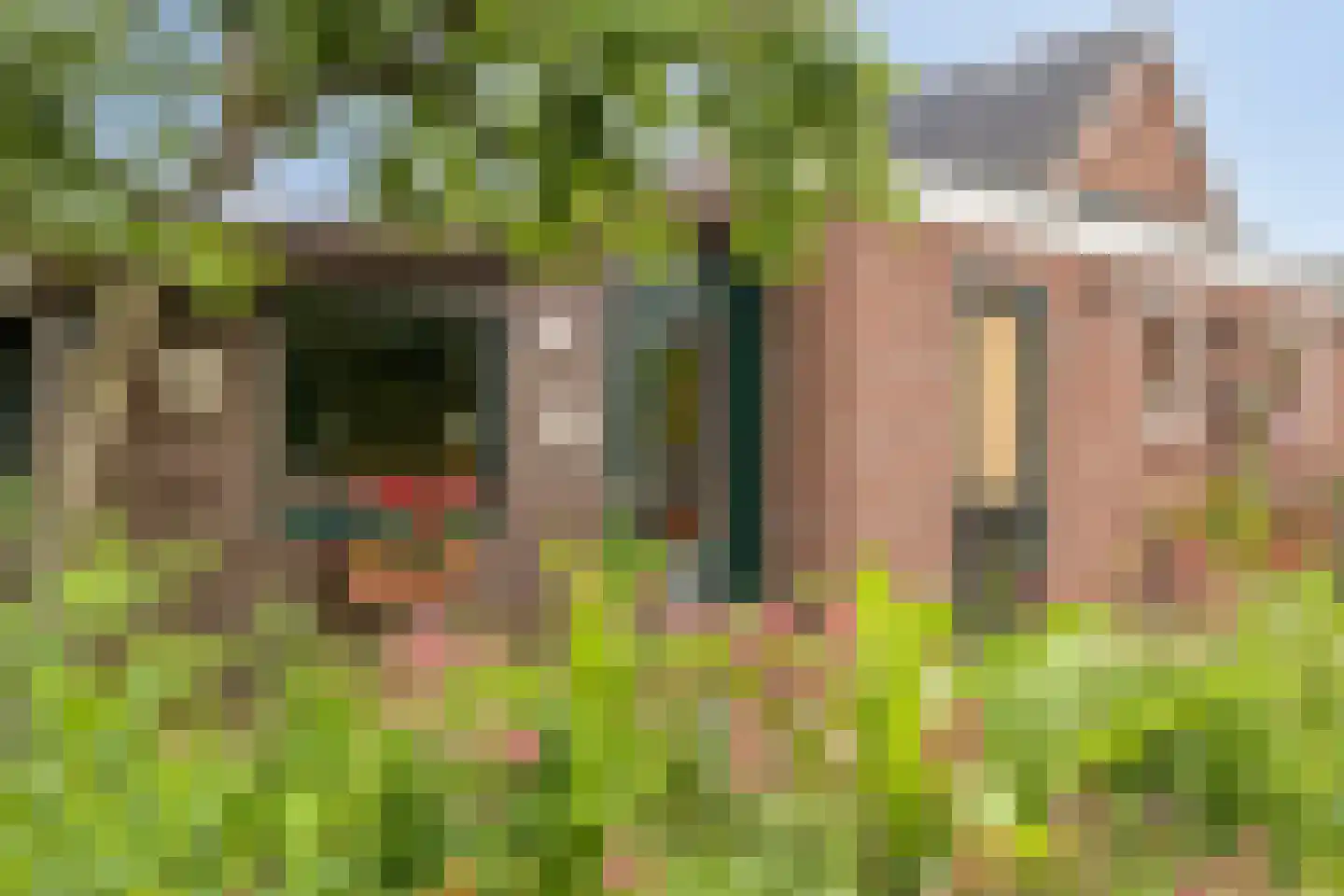 Nichtenhofstraat 33 Nieuwaal thumbnail 33