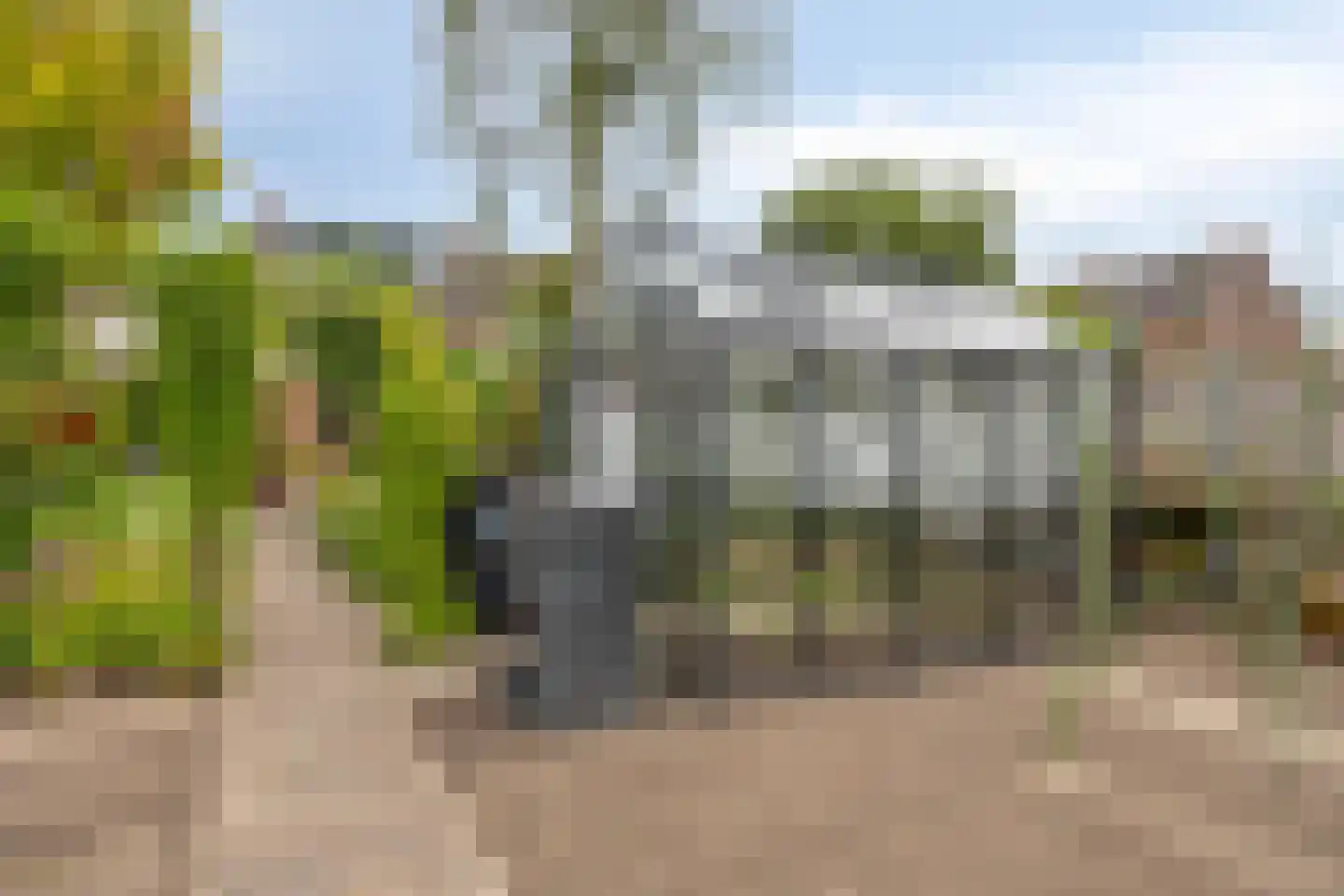 Nichtenhofstraat 33 Nieuwaal thumbnail 35