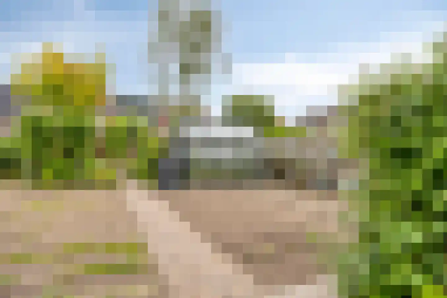 Nichtenhofstraat 33 Nieuwaal thumbnail 36
