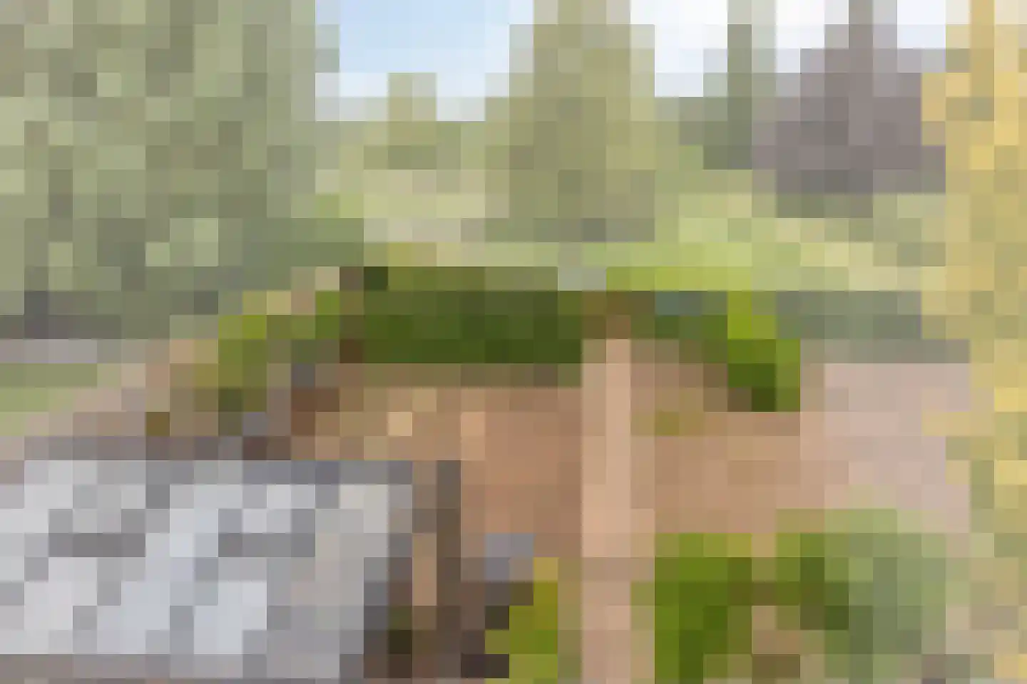 Nichtenhofstraat 33 Nieuwaal thumbnail 38