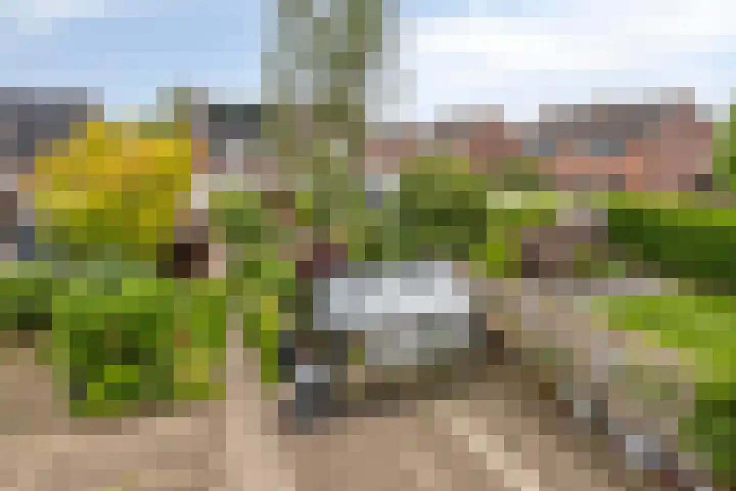 Nichtenhofstraat 33 Nieuwaal thumbnail 39