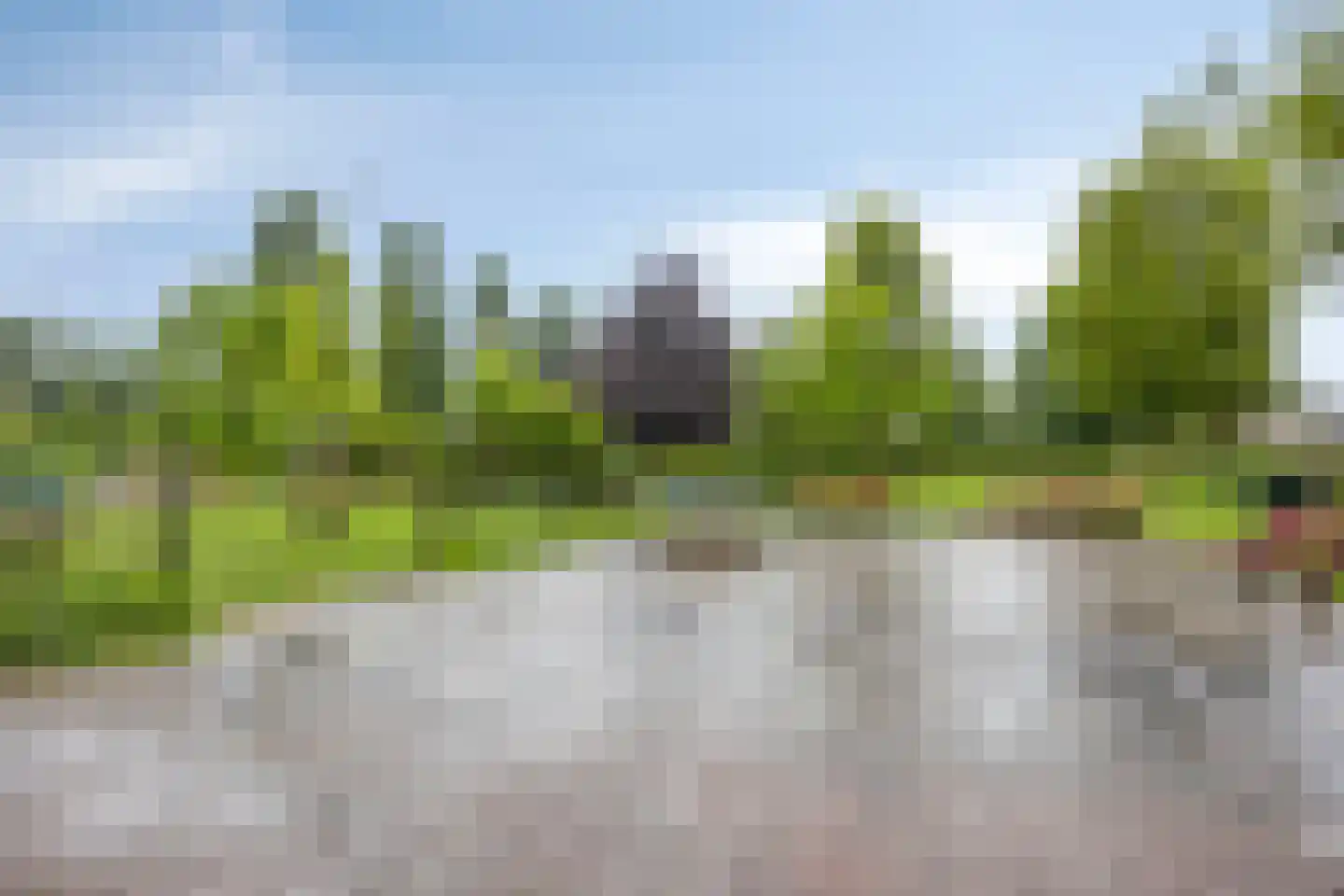 Nichtenhofstraat 33 Nieuwaal thumbnail 45