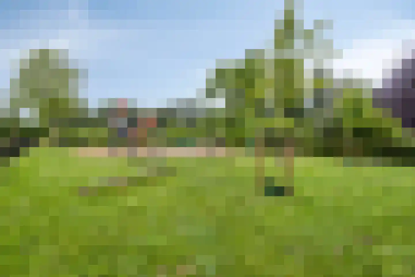 Nichtenhofstraat 33 Nieuwaal thumbnail 46