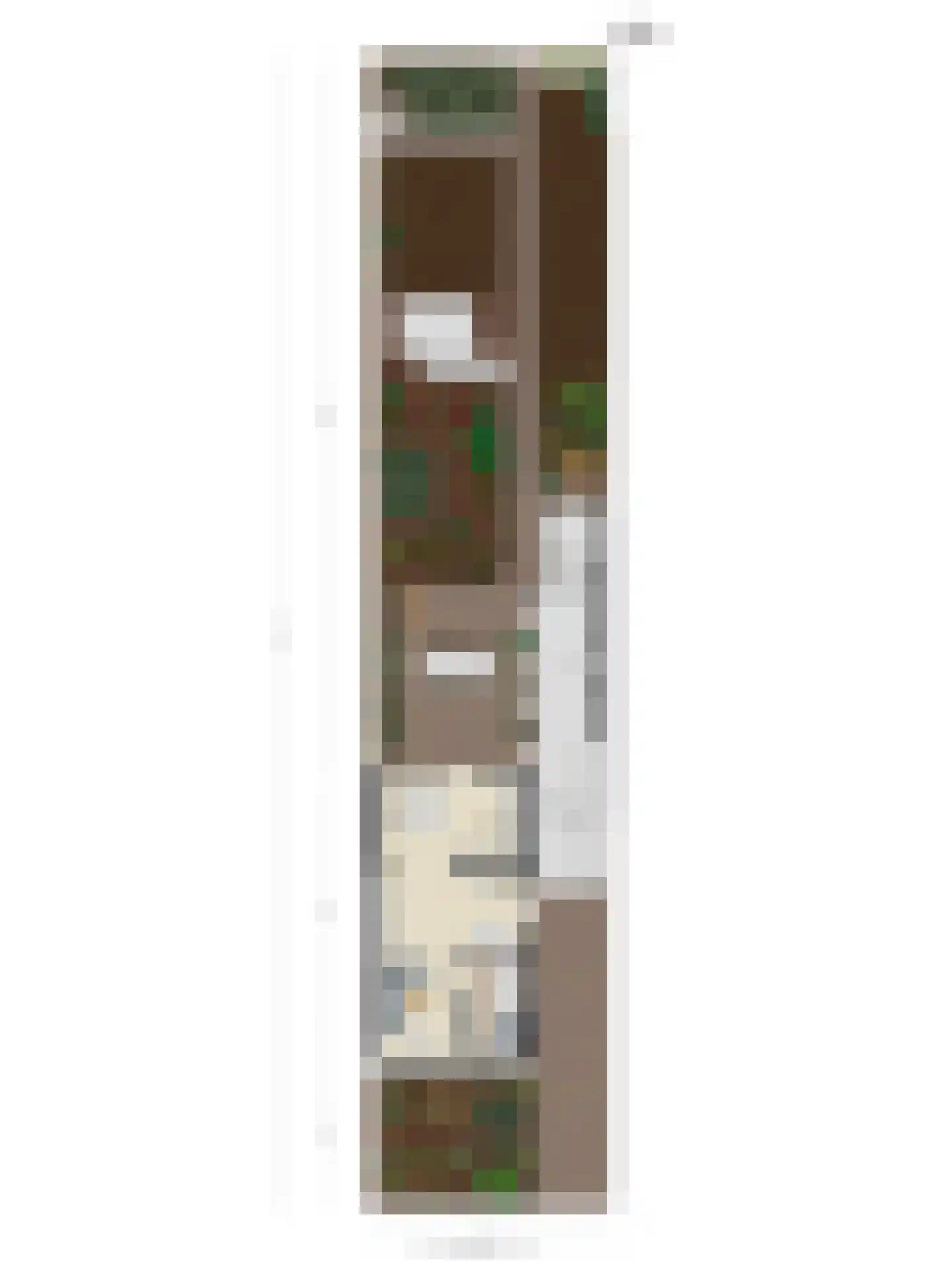 Nichtenhofstraat 33 Nieuwaal thumbnail 47