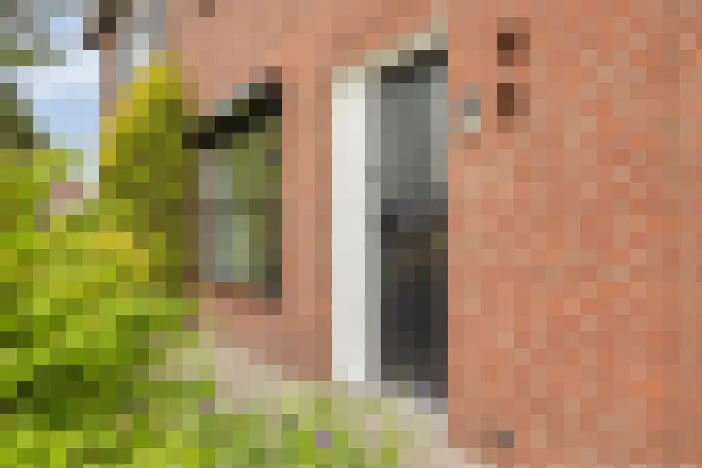 Nichtenhofstraat 33 Nieuwaal thumbnail 5
