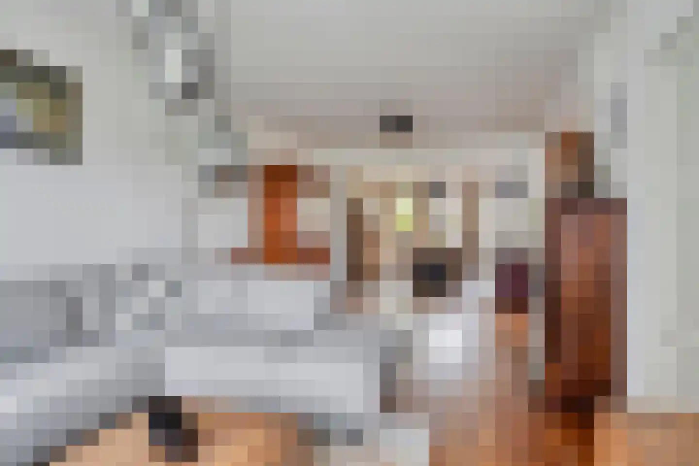 Nichtenhofstraat 33 Nieuwaal thumbnail 9