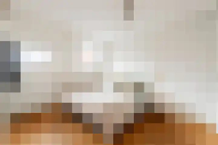 Nickeriestraat 18 1 Amsterdam thumbnail 24