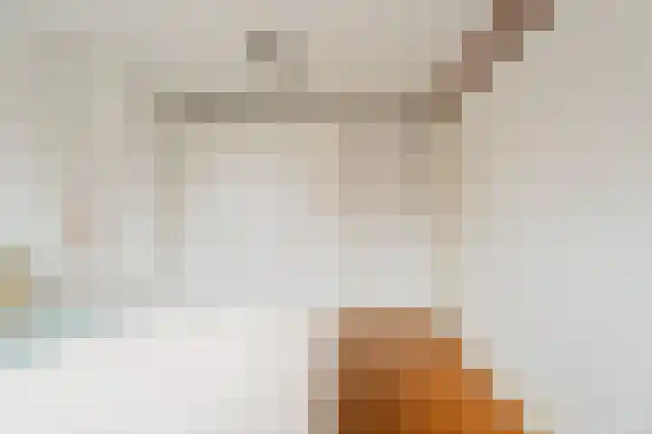 Nickeriestraat 18 1 Amsterdam thumbnail 25