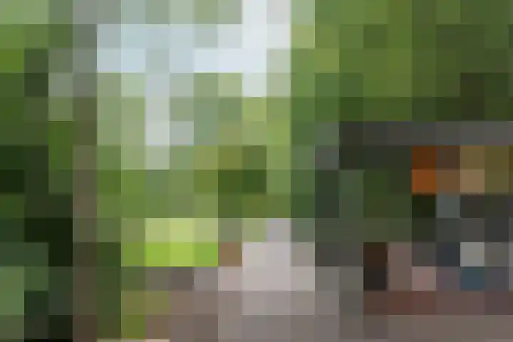 Nickeriestraat 18 1 Amsterdam thumbnail 43