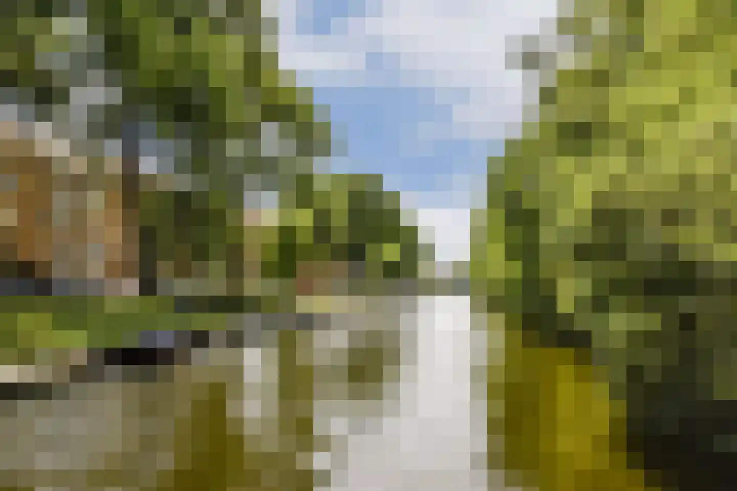 Nickeriestraat 23 Amsterdam thumbnail 19